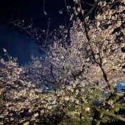 ヒメ日記 2026/04/01 20:33 投稿 いのり 熊本ピカソ