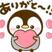 ヒメ日記 2026/04/17 19:13 投稿 いのり 熊本ピカソ