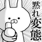 ヒメ日記 2026/06/25 07:23 投稿 れいな 横浜人妻花壇本店