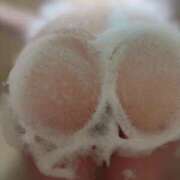 ヒメ日記 2026/02/21 22:17 投稿 愛洲あいか ウルトラホワイト