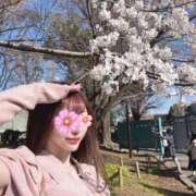 ヒメ日記 2026/04/03 08:01 投稿 Asa LUXURY（ラグジュアリー）