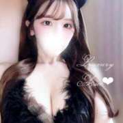 Asa 🐈‍⬛ LUXURY（ラグジュアリー）