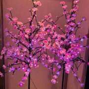 ヒメ日記 2026/03/04 22:08 投稿 ゆい 取手人妻快速