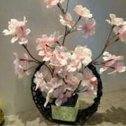 ゆい IN NOWのお兄様😘 取手人妻快速