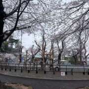 ヒメ日記 2026/03/29 13:51 投稿 めい★容姿端麗従順な王道清楚★ Chloe五反田本店　S級素人清楚系デリヘル