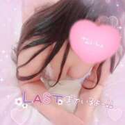 ヒメ日記 2026/01/31 15:01 投稿 せり 滋賀守山大津ちゃんこ