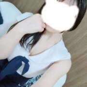 しずく 最近のしずくは… ぐっすり山田 横浜店