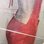 ヒメ日記 2026/03/24 12:32 投稿 ななか ベイビーモコ