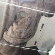 ヒメ日記 2026/03/30 12:22 投稿 ななか ベイビーモコ