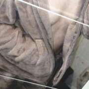 ヒメ日記 2026/04/03 12:09 投稿 ななか ベイビーモコ