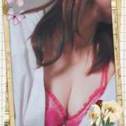 ヒメ日記 2026/02/20 20:09 投稿 夏目　ゆき 昼下がりの情事