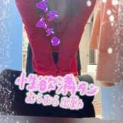 ヒメ日記 2026/02/07 09:32 投稿 美月さりな 五十路マダム 浜松店(カサブランカグループ)