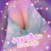 ヒメ日記 2026/02/14 12:50 投稿 美月さりな 五十路マダム 浜松店(カサブランカグループ)