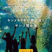 ヒメ日記 2026/02/09 11:35 投稿 かのん PREMIUMー萌ー