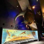 ヒメ日記 2026/02/11 13:45 投稿 かのん PREMIUMー萌ー