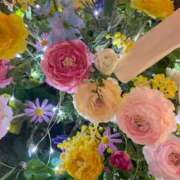 ヒメ日記 2026/02/23 21:04 投稿 あれん クラスメイト