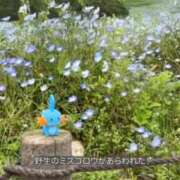 ヒメ日記 2026/03/10 21:00 投稿 あれん クラスメイト