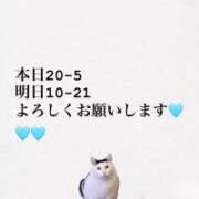 ヒメ日記 2026/04/06 14:37 投稿 あれん クラスメイト