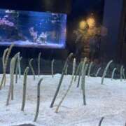 ヒメ日記 2026/04/27 07:16 投稿 あれん クラスメイト