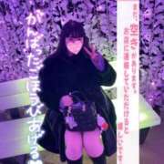 ヒメ日記 2026/02/24 14:09 投稿 つき 白いぽっちゃりさん五反田店