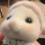 ヒメ日記 2026/03/31 03:38 投稿 るみえ 姫コレクション 高崎前橋店