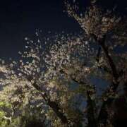 ヒメ日記 2026/04/05 22:59 投稿 さやか オナクラ大人女子