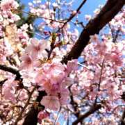 ヒメ日記 2026/03/10 16:51 投稿 千草/ちぐさ 五反田アネージュ（ユメオト）