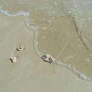 ヒメ日記 2026/03/25 19:00 投稿 千草/ちぐさ 五反田アネージュ（ユメオト）