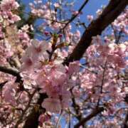 ヒメ日記 2026/03/27 19:10 投稿 千草/ちぐさ 五反田アネージュ（ユメオト）