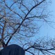 ヒメ日記 2026/02/15 08:57 投稿 楓 モアグループ春日部人妻城