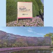 ヒメ日記 2026/04/18 20:02 投稿 なみ(AGEHAプレミア姫) ニューティアラ