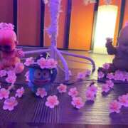 ヒメ日記 2026/04/02 19:17 投稿 のん(新人割5/7まで) ニュー不夜城