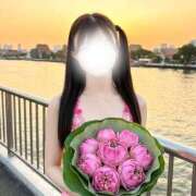 ヒメ日記 2026/04/03 21:13 投稿 のん(新人割5/7まで) ニュー不夜城