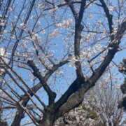 ヒメ日記 2026/04/05 18:16 投稿 のん(新人割5/7まで) ニュー不夜城