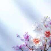 ヒメ日記 2026/01/31 12:51 投稿 さえ ピンクコレクション大阪