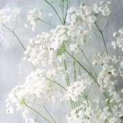 ヒメ日記 2026/02/05 10:41 投稿 さえ ピンクコレクション大阪