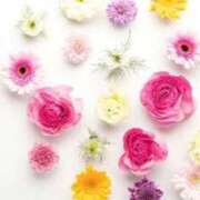 さえ 出勤4日目❣️ ピンクコレクション尼崎店