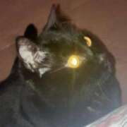 ヒメ日記 2026/02/03 23:39 投稿 まゆみ ミラー