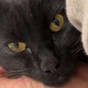 ヒメ日記 2026/02/22 12:33 投稿 まゆみ ミラー