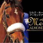 ヒメ日記 2026/02/28 14:21 投稿 まゆみ ミラー