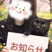 ヒメ日記 2026/03/02 19:15 投稿 まゆみ ミラー