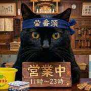 ヒメ日記 2026/03/04 19:01 投稿 まゆみ ミラー