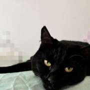 ヒメ日記 2026/04/24 17:01 投稿 まゆみ ミラー