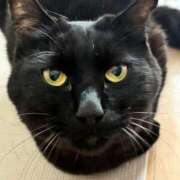 まゆみ 今日は13時スタート ミラー