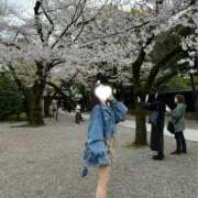 ヒメ日記 2026/04/11 08:02 投稿 ゆら【恋確定反則級ヒロイン】 STELLA NEXT－ステラネクスト－