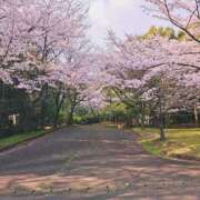 ヒメ日記 2026/04/08 13:14 投稿 Nodoka 濃密バブルSPA VIP