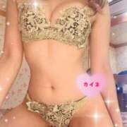 ヒメ日記 2026/02/03 20:18 投稿 かいね プリンセスセレクション姫路