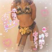ヒメ日記 2026/09/05 20:03 投稿 かいね プリンセスセレクション姫路