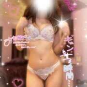 ヒメ日記 2026/10/04 15:00 投稿 かいね プリンセスセレクション姫路