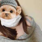 ヒメ日記 2026/02/10 01:39 投稿 せれな 五反田サンキュー